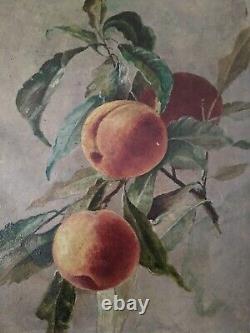 1910 Antique Painting Oil, 3 Peaches Nature Sign Original 1910 Otto Freyer