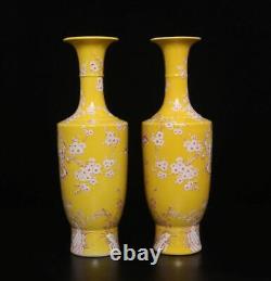 32CM Pair Kangxi Signed Antique Chinese Famille Rose Vase Withbird