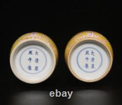 32CM Pair Kangxi Signed Antique Chinese Famille Rose Vase Withbird