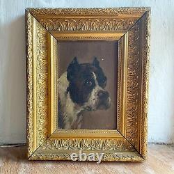 A Fine Pair Of Edwardian Oil Paintings /dog Portraits Signed 1905