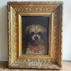 A Fine Pair Of Edwardian Oil Paintings /dog Portraits Signed 1905