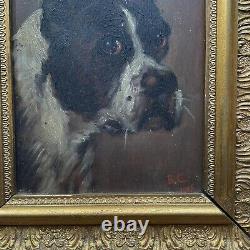 A Fine Pair Of Edwardian Oil Paintings /dog Portraits Signed 1905