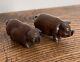 A Pair Of Antique Japanese Netsuke Carved Wooden Pigs-signed