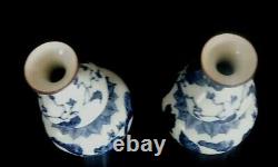A pair of 19th century Chinese blue and white porcelain double gourd vases