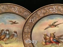 ANTIQUE SIGNED PAIR OF HANDPAINTED B&C co. HIGHLY DECORATED PHSANT PLATES N. R