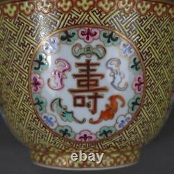 Antique Chinese Pair Of Bowls 19th, Polychrome Onglaze