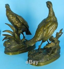 Antique JULES MOIGNIEZ Signed c1870's XL Pair of PHEASANT BRONZE SCULPTURES 12