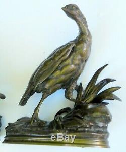 Antique JULES MOIGNIEZ Signed c1870's XL Pair of PHEASANT BRONZE SCULPTURES 12