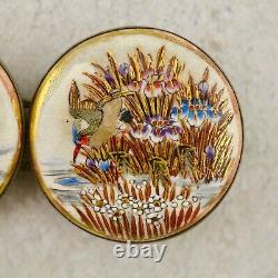 Antique Meiji-period Japanese Satsuma Kingfisher & Iris buckle pair signed