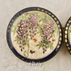 Antique Meiji-period Japanese Satsuma Wisteria & Butterfly buckle pair signed