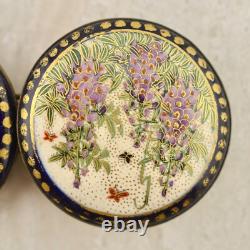 Antique Meiji-period Japanese Satsuma Wisteria & Butterfly buckle pair signed