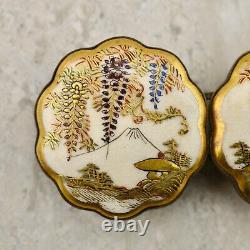 Antique Meiji-period Japanese Satsuma Wisteria & Mt Fuji buckle pair signed