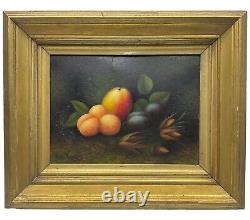 Antique Oil Paintings Still Life Pictures Fruit Pair Signed Carl Werner framed