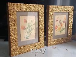 Antique Pair Floral Art Prints Signed Botanical Flowers Gold Gilt/Gilded Frames