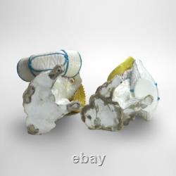 Antique Pair of Meissen School Porcelain Character Dog Figures Signed C1880