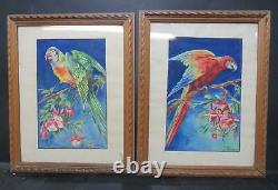 Antique Parrot Paintings 1930s French Pair Wildlife Art Signed Research