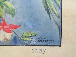 Antique Parrot Paintings 1930s French Pair Wildlife Art Signed Research