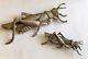 Antique Sterling Signed Cini Pair Of Grasshopper Pins