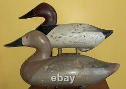Branded & Signed Rigmate Pair of 1954 R. Madison Mitchell Canvasback Duck Decoys