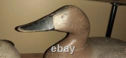 Branded & Signed Rigmate Pair of 1954 R. Madison Mitchell Canvasback Duck Decoys