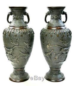 C1880, Signed Yoshida Zo Kyoto, Large Pair Antique Meiji Japanese Bronze Vases