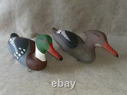 Carved Pair Hunting Merganser Duck Decoy Signed Capt Harry Jobes Havre de Grace