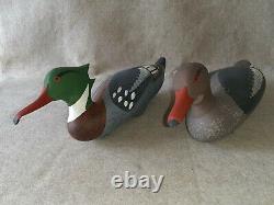 Carved Pair Hunting Merganser Duck Decoy Signed Capt Harry Jobes Havre de Grace