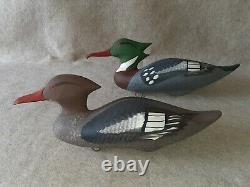 Carved Pair Hunting Merganser Duck Decoy Signed Capt Harry Jobes Havre de Grace