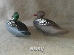 Carved Pair Hunting Merganser Duck Decoy Signed Capt Harry Jobes Havre de Grace