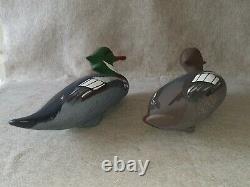 Carved Pair Hunting Merganser Duck Decoy Signed Capt Harry Jobes Havre de Grace