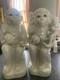 Chinese Antique Porcelain Monkey Pair Blanc-de-chine, Artist Marked