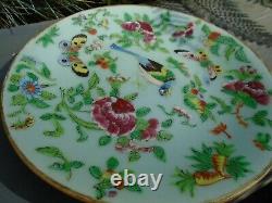 Chinese pair of Tongzhi celadon hand painted plates with makers mark to back