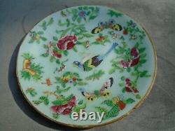 Chinese pair of Tongzhi celadon hand painted plates with makers mark to back