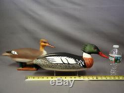 Great Pair Merganser Decoys signed Capt R. E. Belote Lewes DE &Willis Wharf VA