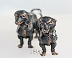 Hand Painted Austrian Bronze Pair of 2 Dachshund Dogs signed