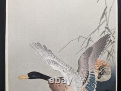 KOSON Ohara Shoson Signed Japanese Woodblock Print Pair Mallard Ducks Ukiyo-e