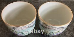 MIRROR PAIR OF JIAQING SIGNED antique porcelain TITLE VERSE CHINESE WINE CUPS