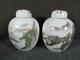 Pair Of Antique Chinese Covered Porcelain Temple Jars, Signed, Mountain Scenes
