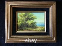 PAIR of Authentic VINTAGE LANDSCAPE oil paintings FRAMED IN ORIGINAL FRAMES