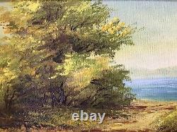 PAIR of Authentic VINTAGE LANDSCAPE oil paintings FRAMED IN ORIGINAL FRAMES