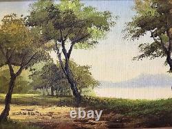 PAIR of Authentic VINTAGE LANDSCAPE oil paintings FRAMED IN ORIGINAL FRAMES