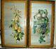 Pair 19thc'botanical Studies Of Fruit' -oils On Canvas /signed +framed