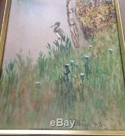 Pair ANTIQUE 1912 WATER COLOUR PAINTINGS SIGNED R B WRIGHT ARCA BIRDS