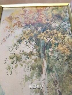 Pair ANTIQUE 1912 WATER COLOUR PAINTINGS SIGNED R B WRIGHT ARCA BIRDS