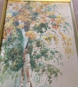 Pair ANTIQUE 1912 WATER COLOUR PAINTINGS SIGNED R B WRIGHT ARCA BIRDS