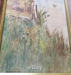 Pair ANTIQUE 1912 WATER COLOUR PAINTINGS SIGNED R B WRIGHT ARCA BIRDS