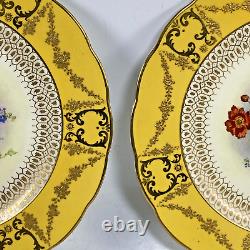 Pair Antique JV & Sons English Cabinet Plates Signed W Birbeck Retailed NY City