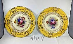 Pair Antique JV & Sons English Cabinet Plates Signed W Birbeck Retailed NY City