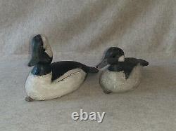 Pair Carved Wooden Hunting Bufflehead Duck Decoys signed R Birch Chincoteague VA