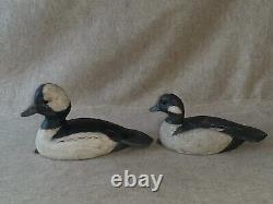 Pair Carved Wooden Hunting Bufflehead Duck Decoys signed R Birch Chincoteague VA